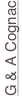 shapeimage_10_link_0