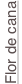 shapeimage_50_link_0