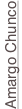 shapeimage_54_link_0