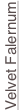 shapeimage_98_link_0